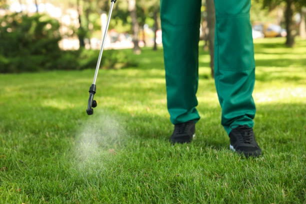Best Pest Inspection Near Me  in Kalida, OH