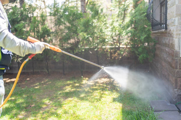 Best Mosquito Control Services  in Kalida, OH